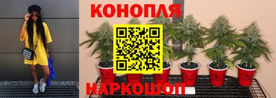 молекула духа Рыбинск