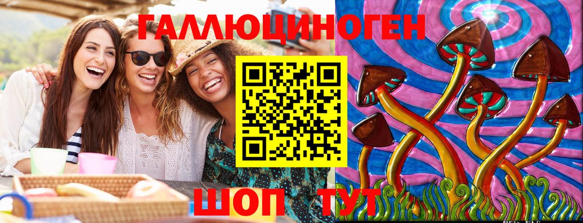 Галлюциногенные грибы мухоморы Новокубанск