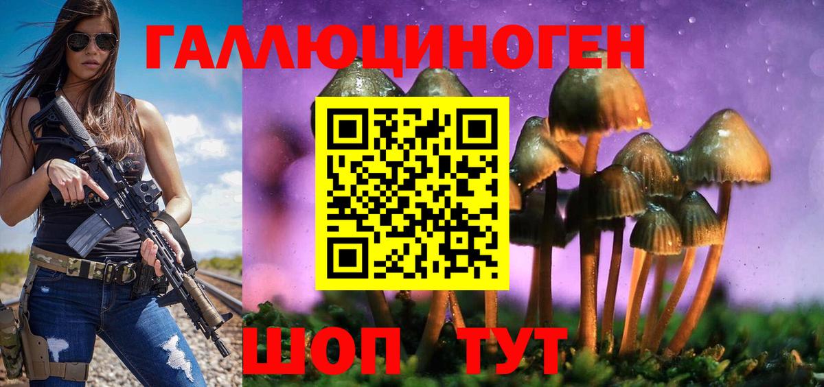 хочу наркоту  Псилоцибиновые грибы мицелий  Вход с VPN  Новокубанск 